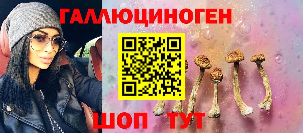 Галлюциногенные грибы Cubensis Ржев